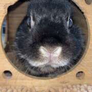 ヒメ日記 2026/02/21 08:27 投稿 一条 おふくろ