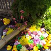 ヒメ日記 2026/03/11 18:05 投稿 一条 おふくろ