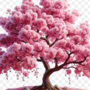 ヒメ日記 2026/03/27 09:29 投稿 一条 おふくろ