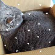 一条 腰が、、、💧 おふくろ