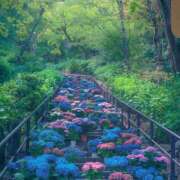 一条 来週の出勤 おふくろ