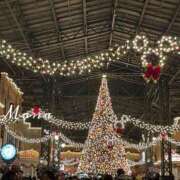 ヒメ日記 2025/12/22 19:59 投稿 まな ニューティアラ