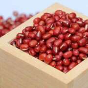 ヒメ日記 2025/11/19 06:00 投稿 あずき 池袋ぱんぷきん（シンデレラグループ）