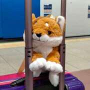 ヒメ日記 2025/12/03 17:44 投稿 あずき 池袋ぱんぷきん（シンデレラグループ）