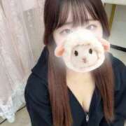 ヒメ日記 2025/10/30 12:51 投稿 ゆいな 高級オナクラ　ひよこクラブ