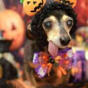 ヒメ日記 2025/10/28 17:47 投稿 ゆりの ふぞろいの人妻たち