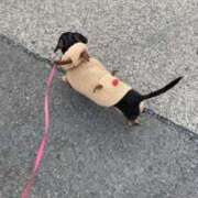 ヒメ日記 2025/12/24 12:30 投稿 ゆりの ふぞろいの人妻たち