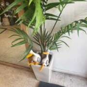 あかり やっと出逢えた💌 桃色クリスタル