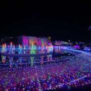 ヒメ日記 2025/12/14 16:06 投稿 あかり 桃色クリスタル