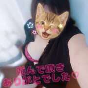 ヒメ日記 2025/11/10 20:03 投稿 三好 亜希子 こあくまな熟女たち沼津店（KOAKUMAグループ）