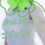 ヒメ日記 2025/11/12 10:24 投稿 三好 亜希子 こあくまな熟女たち沼津店（KOAKUMAグループ）