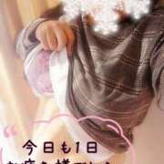 ヒメ日記 2025/11/24 23:17 投稿 三好 亜希子 こあくまな熟女たち沼津店（KOAKUMAグループ）