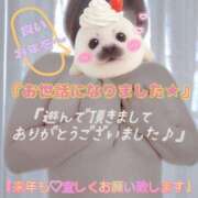 ヒメ日記 2025/12/30 22:29 投稿 三好 亜希子 こあくまな熟女たち沼津店（KOAKUMAグループ）