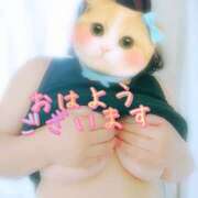 ヒメ日記 2026/02/24 07:59 投稿 三好 亜希子 こあくまな熟女たち沼津店（KOAKUMAグループ）