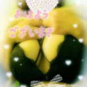 ヒメ日記 2026/03/11 07:51 投稿 三好 亜希子 こあくまな熟女たち沼津店（KOAKUMAグループ）