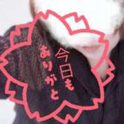 ヒメ日記 2026/03/30 21:42 投稿 三好 亜希子 こあくまな熟女たち沼津店（KOAKUMAグループ）