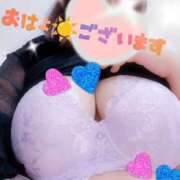 ヒメ日記 2026/04/04 08:00 投稿 三好 亜希子 こあくまな熟女たち沼津店（KOAKUMAグループ）