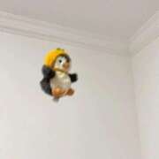 ヒメ日記 2026/04/21 22:32 投稿 りあ オナクラ大人女子