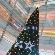 ヒメ日記 2025/11/07 13:47 投稿 戸田しおん ミセス・レヴォアール～再会～