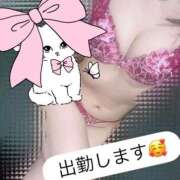 ヒメ日記 2025/11/08 22:17 投稿 りお 秋葉原鑑賞ガール