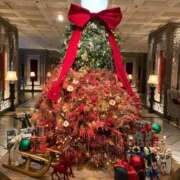 ヒメ日記 2025/12/25 09:47 投稿 江本(えもと) 人妻出逢い会 百合の園 山の手本店