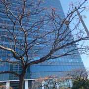 ヒメ日記 2026/02/15 14:07 投稿 江本(えもと) 人妻出逢い会 百合の園 山の手本店