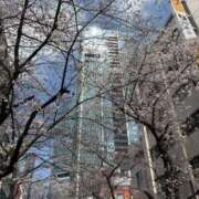 ヒメ日記 2026/03/30 12:18 投稿 江本(えもと) 人妻出逢い会 百合の園 山の手本店