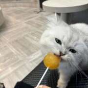 ヒメ日記 2025/11/10 16:04 投稿 ねむ Love Life(ラブライフ) 池袋店