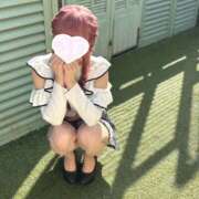 ヒメ日記 2025/11/24 05:57 投稿 こいの ハピネス東京