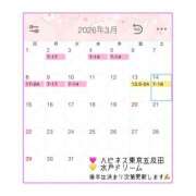 こいの 3月前半の予定です✍️ ハピネス東京