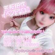 ヒメ日記 2026/03/12 16:47 投稿 こいの ハピネス東京