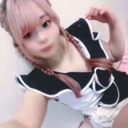 ヒメ日記 2026/03/14 06:27 投稿 こいの ハピネス東京