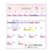 ヒメ日記 2026/06/08 22:07 投稿 こいの ハピネス東京