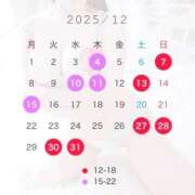 ねね 12月の出勤予定🎄 NEO不夜城