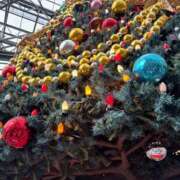 ヒナノ 昨日今日、お休みをいただいております クイック（Quick）