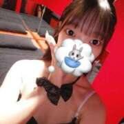 ナノ 🐰よーく見ると👀♡🐰 バニーコレクション秋田店