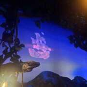 ヒメ日記 2026/02/03 09:14 投稿 千反田 BBW鶯谷店