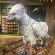 ヒメ日記 2026/02/04 13:54 投稿 千反田 BBW鶯谷店