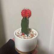 ヒメ日記 2026/02/06 14:30 投稿 千反田 BBW鶯谷店