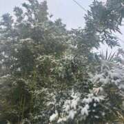 ヒメ日記 2026/02/09 06:00 投稿 千反田 BBW鶯谷店