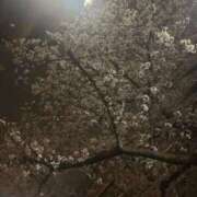 ヒメ日記 2026/04/02 12:55 投稿 千反田 BBW鶯谷店