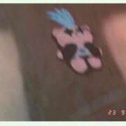 ヒメ日記 2026/04/09 01:03 投稿 千反田 BBW鶯谷店