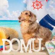 ヒメ日記 2026/01/20 00:16 投稿 まお♡艷やかな敏感F乳美女♡ 即生専門店ゴッドパイ