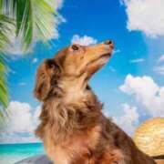 ヒメ日記 2026/01/22 01:54 投稿 まお♡艷やかな敏感F乳美女♡ 即生専門店ゴッドパイ