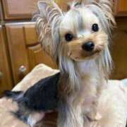 ヒメ日記 2026/01/22 05:24 投稿 まお♡艷やかな敏感F乳美女♡ 即生専門店ゴッドパイ