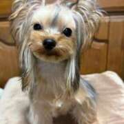 ヒメ日記 2026/01/22 23:04 投稿 まお♡艷やかな敏感F乳美女♡ 即生専門店ゴッドパイ