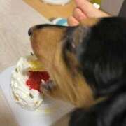 ヒメ日記 2026/01/22 23:14 投稿 まお♡艷やかな敏感F乳美女♡ 即生専門店ゴッドパイ