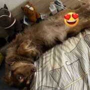 ヒメ日記 2026/01/28 00:37 投稿 まお♡艷やかな敏感F乳美女♡ 即生専門店ゴッドパイ