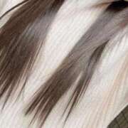 ヒメ日記 2026/03/03 18:14 投稿 まお♡艷やかな敏感F乳美女♡ 即生専門店ゴッドパイ