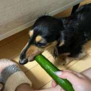 ヒメ日記 2026/03/12 11:14 投稿 まお♡艷やかな敏感F乳美女♡ 即生専門店ゴッドパイ